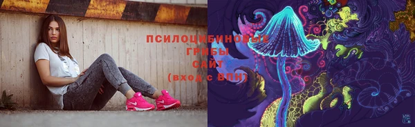 apvp Балахна