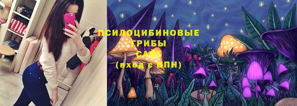 стаф Баксан