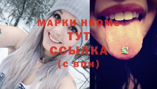 стаф Баксан