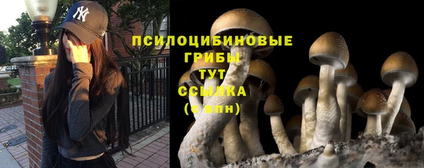 стаф Баксан