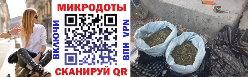 Галлюциногенные грибы прущие грибы  Кузнецк 